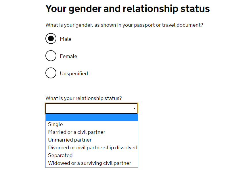 how the status of partner visa application look like