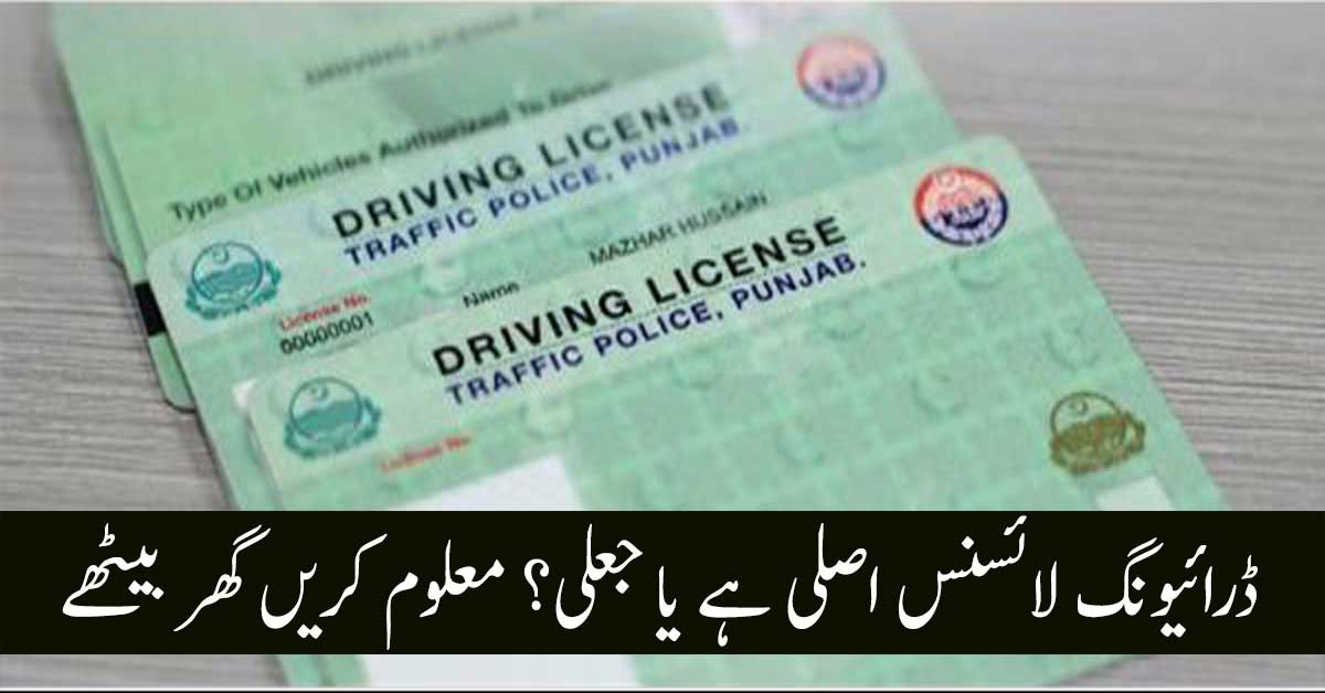 licence number as national identity card in visa application