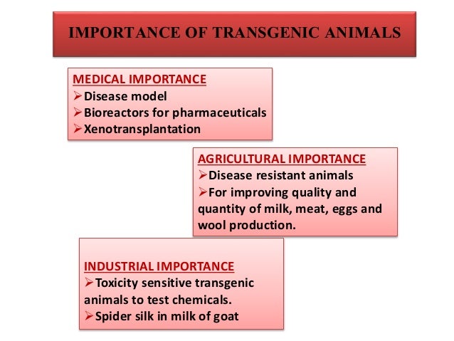 agricultural applications of transgenic animals