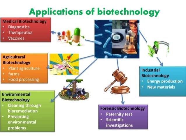 application of plant biotechnology pdf