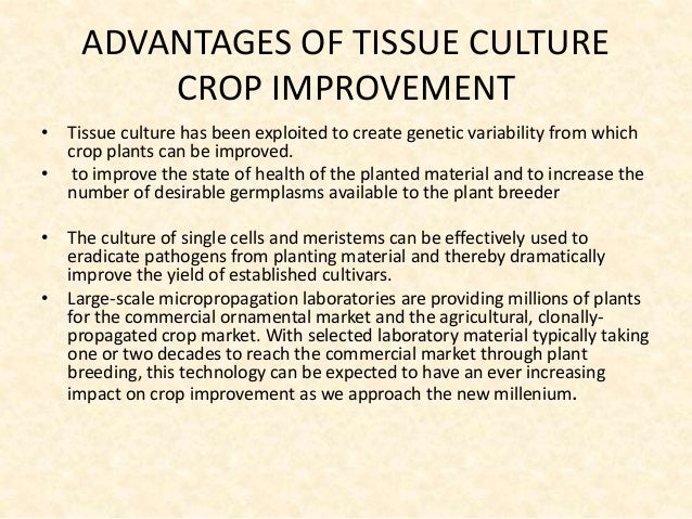 application of plant genetic engineering in crop improvement ppt