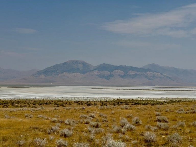 Master Your Somfy Remote: Easy Setup & Troubleshooting Guide ...